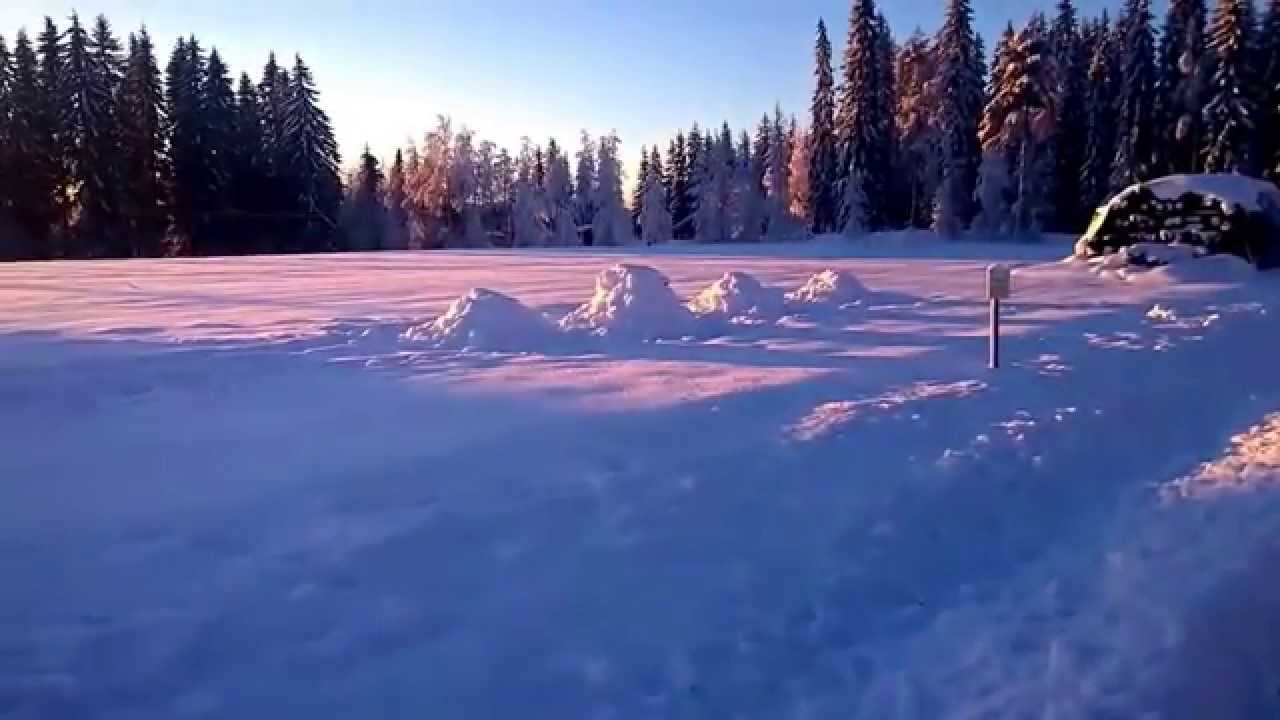Wintering beehives Jan 6th in middle part of Finland, -20C