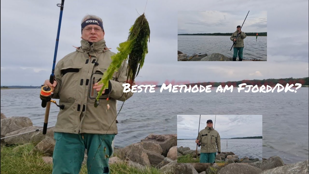 Gewässertipp Havnø. Angeln am Mariagerfjord/Dänemark
