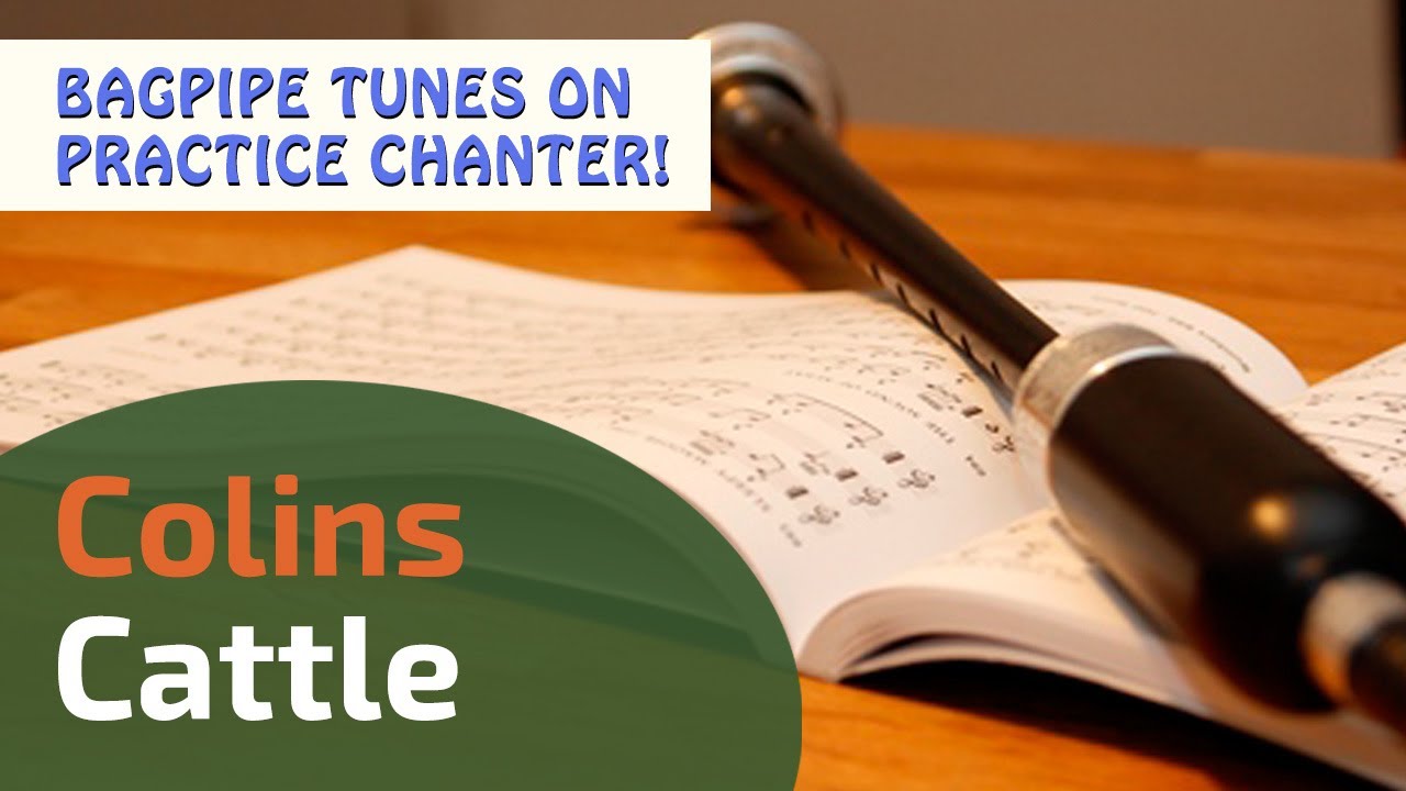 Colins Cattle | Bagpipe Tunes on Practice Chanter ⭐⭐⭐⭐⭐