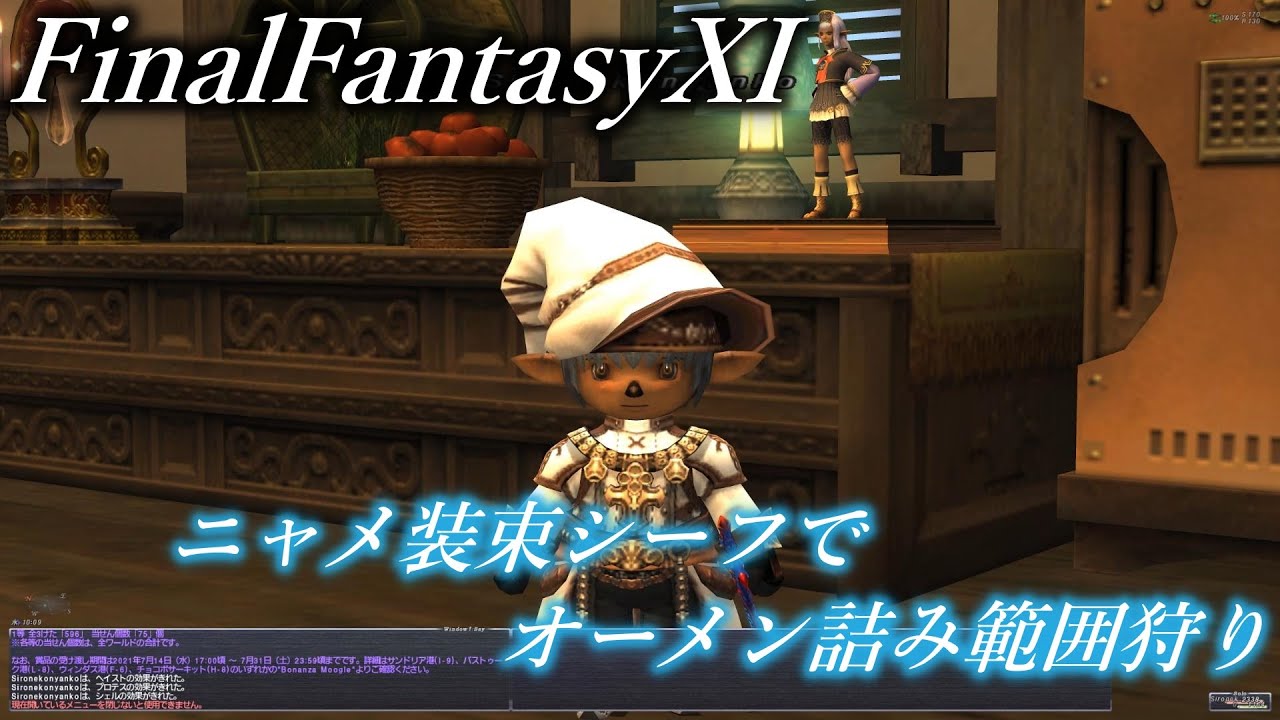 【FF11】 ニャメ装束シーフで楽にオーメン詰み範囲狩り