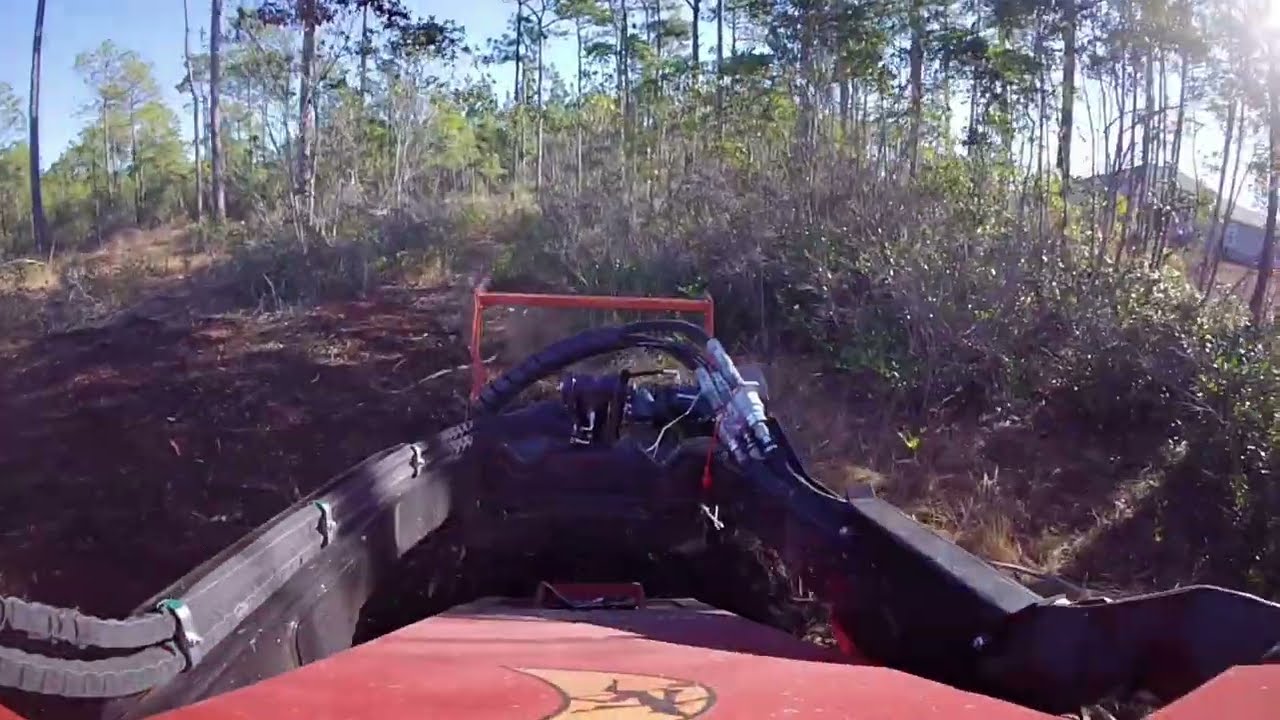 Making mulch and reclaiming property.  