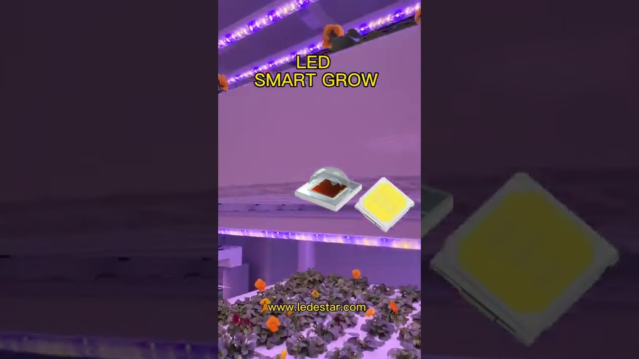 LEDESTAR led smart grow | led diode for led grow light | horticulture lighting #shorts