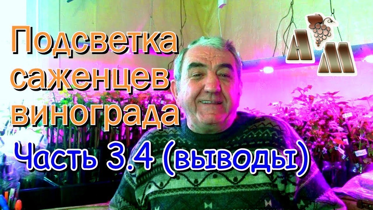 🍇 Светодиодная подсветка саженцев винограда. Часть  3.4 - Светодиодные чипы (итоги и выводы))