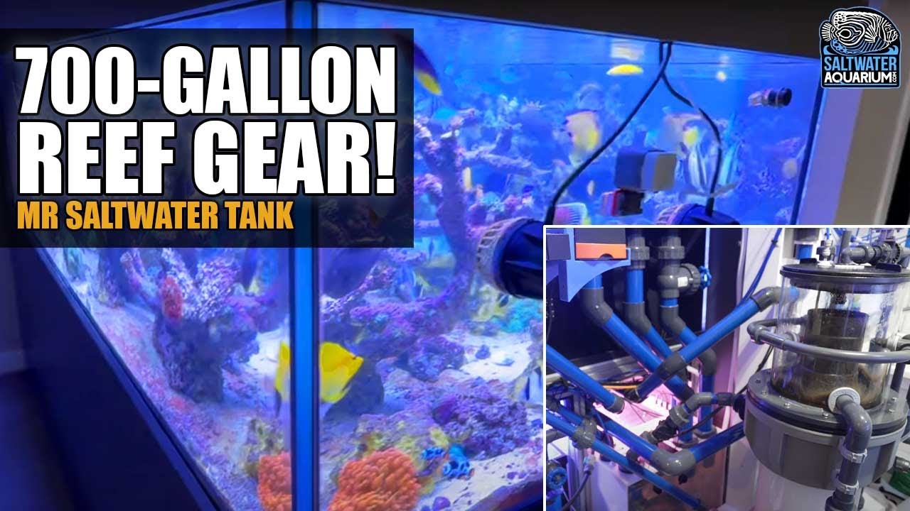 Inside Stefan Wilson's 700-Gallon Reef Tank: Must-Have Equipment & Pro Tips! - Mr. Saltwater Tank