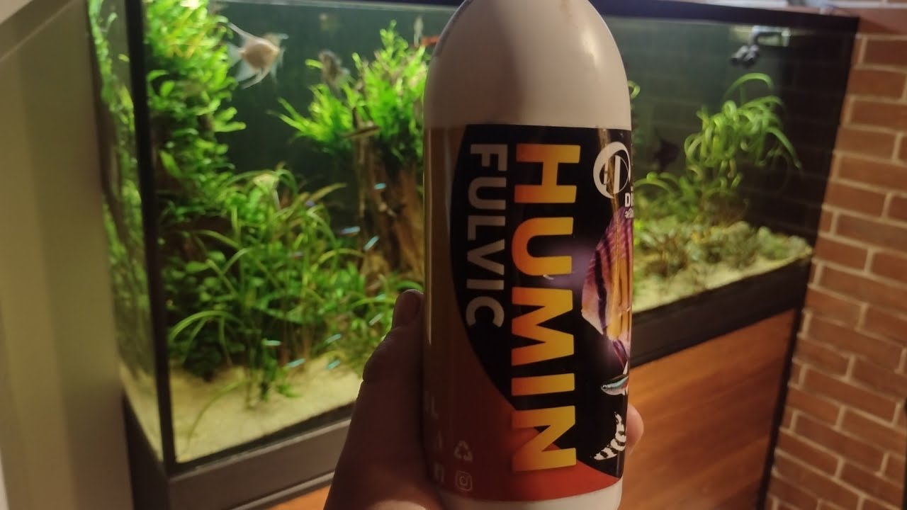 Nie tylko do Black Water. Humin Fulvic pomocny w profilaktyce i kwarantannie ryb akwariowych.