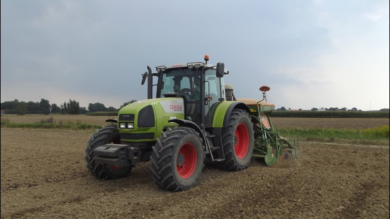 Siew Rzepaku 2012 || Claas Ares 816 RZ Amazone AD-P Ursus c360 RCW ||