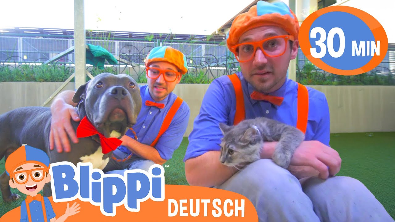 Blippi besucht das Tierheim 😺💖🐶 Blippi Deutsch | Abenteuer und Videos für Kinder