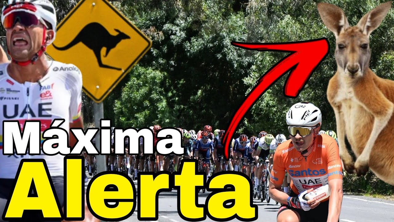 Resumen Etapa 5 ➣ Santos Tour Down Under 2026 | Caos en la Carretera