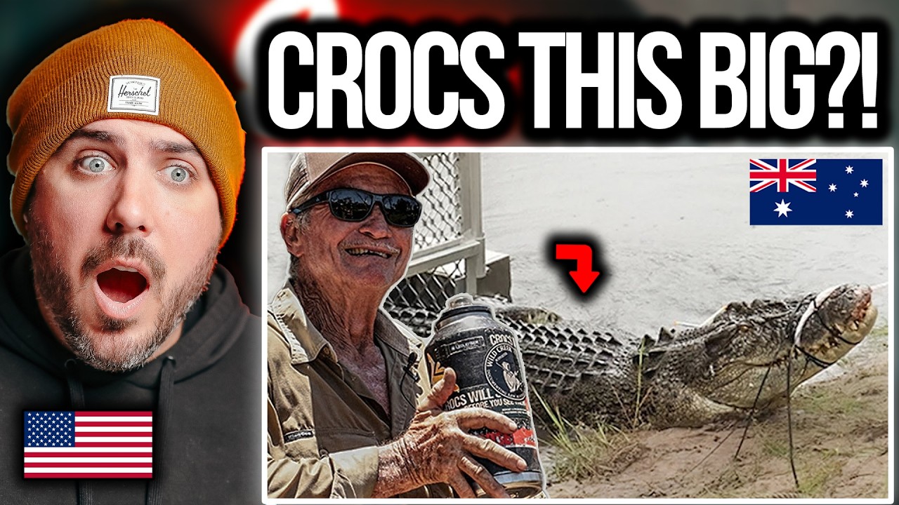 American Reacts to Massive Crocs in Northern Territory