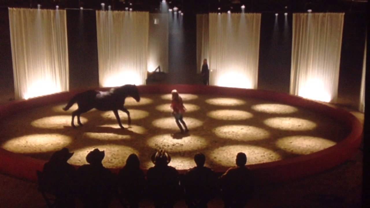 Heartland ~ Amy/ liberty