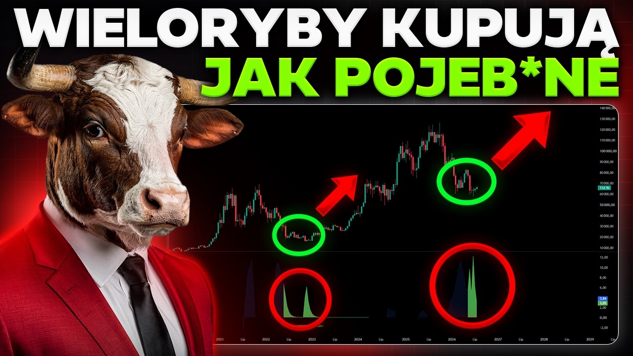 CZEKASZ NA DOŁEK BITCOINA? MOŻESZ SIĘ GRUBO ZDZIWIĆ...