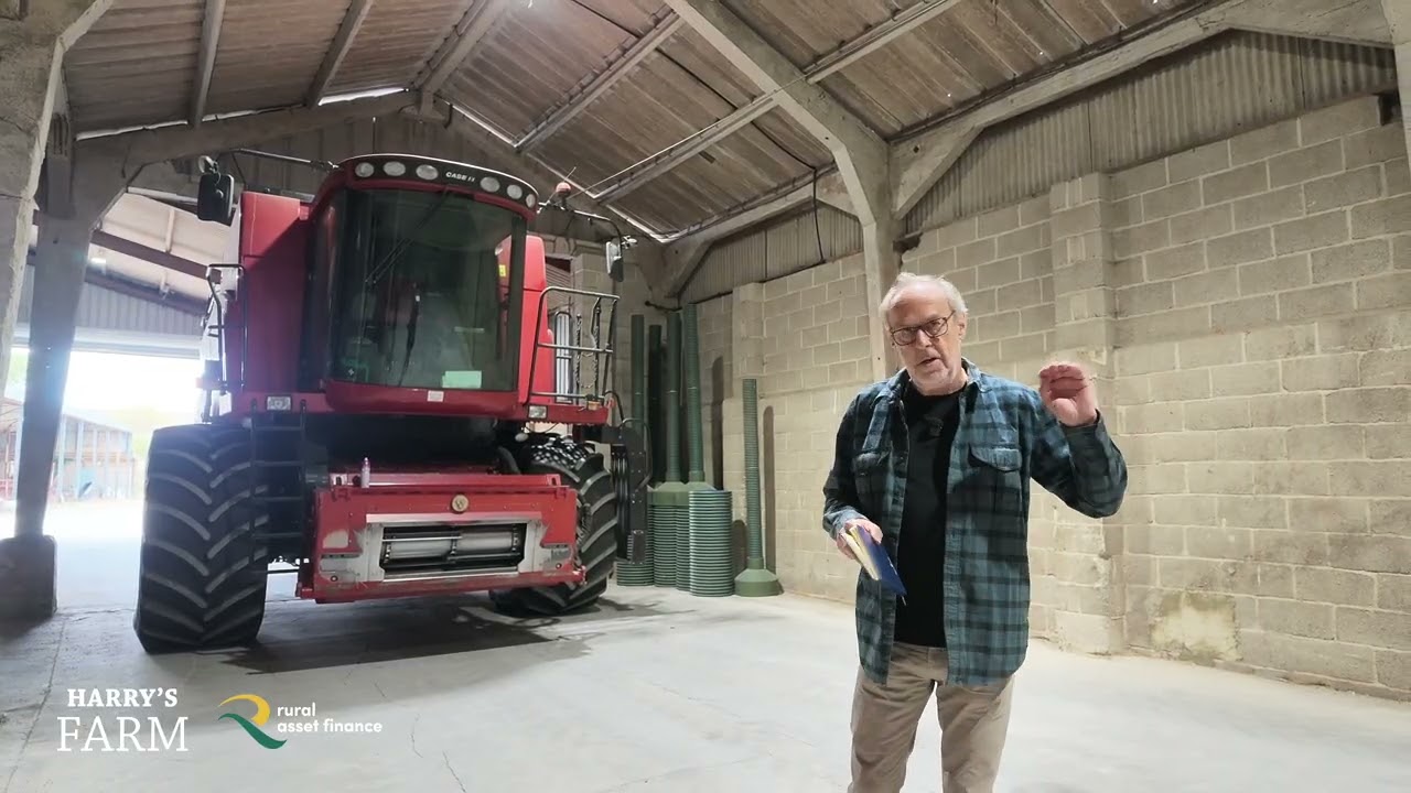 Дождя всё ещё нет, а урожай оказался хуже, чем я ожидал. Стоит ли снова сеять пшеницу?