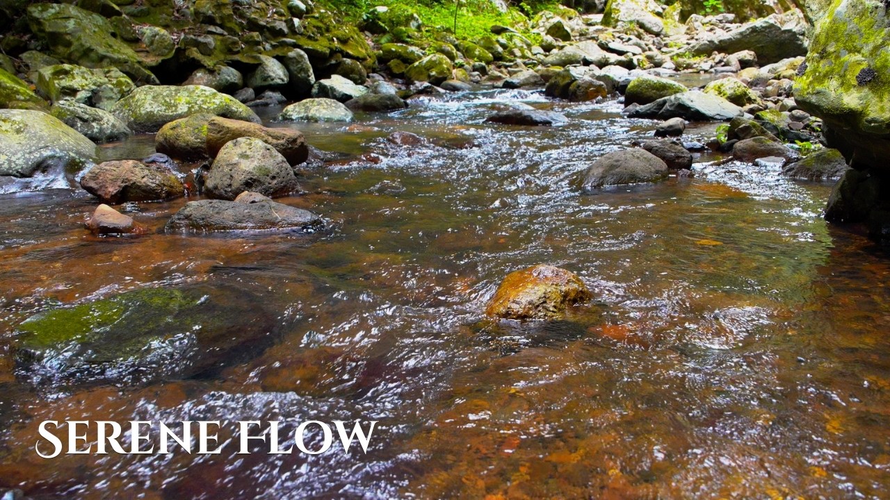 11:11 Hours of Peaceful River Sounds for Deep Sleep, Study, Meditation & Focus