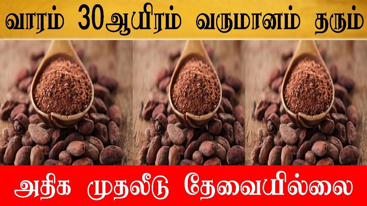 வாரம் ₹30,000 சம்பாதிக்கலாம்! குறைந்த முதலீட்டில் இந்த தொழில் small business ideas in tamil