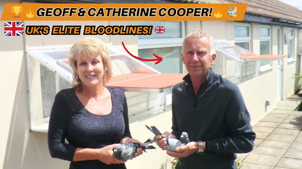 🔴 Live Tour &ndash; Geoff & Catherine Cooper&rsquo;s Champion Racing Pigeons! 🏆