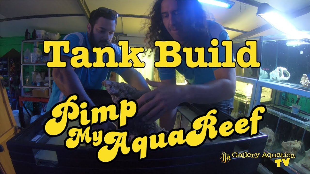 Tank Build: Pimp My AquaReef Episode #2 --- Gallery Aquatica TV