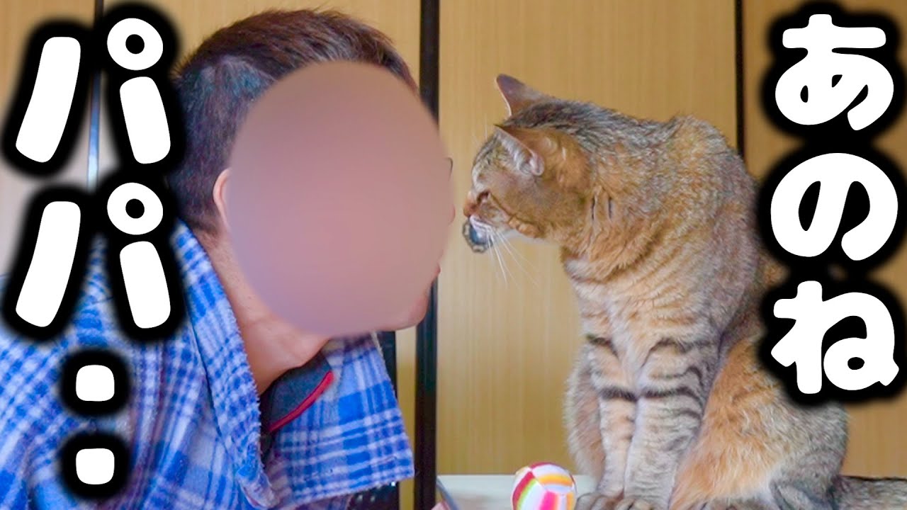 最近のパパとトラの関係をお話しします…