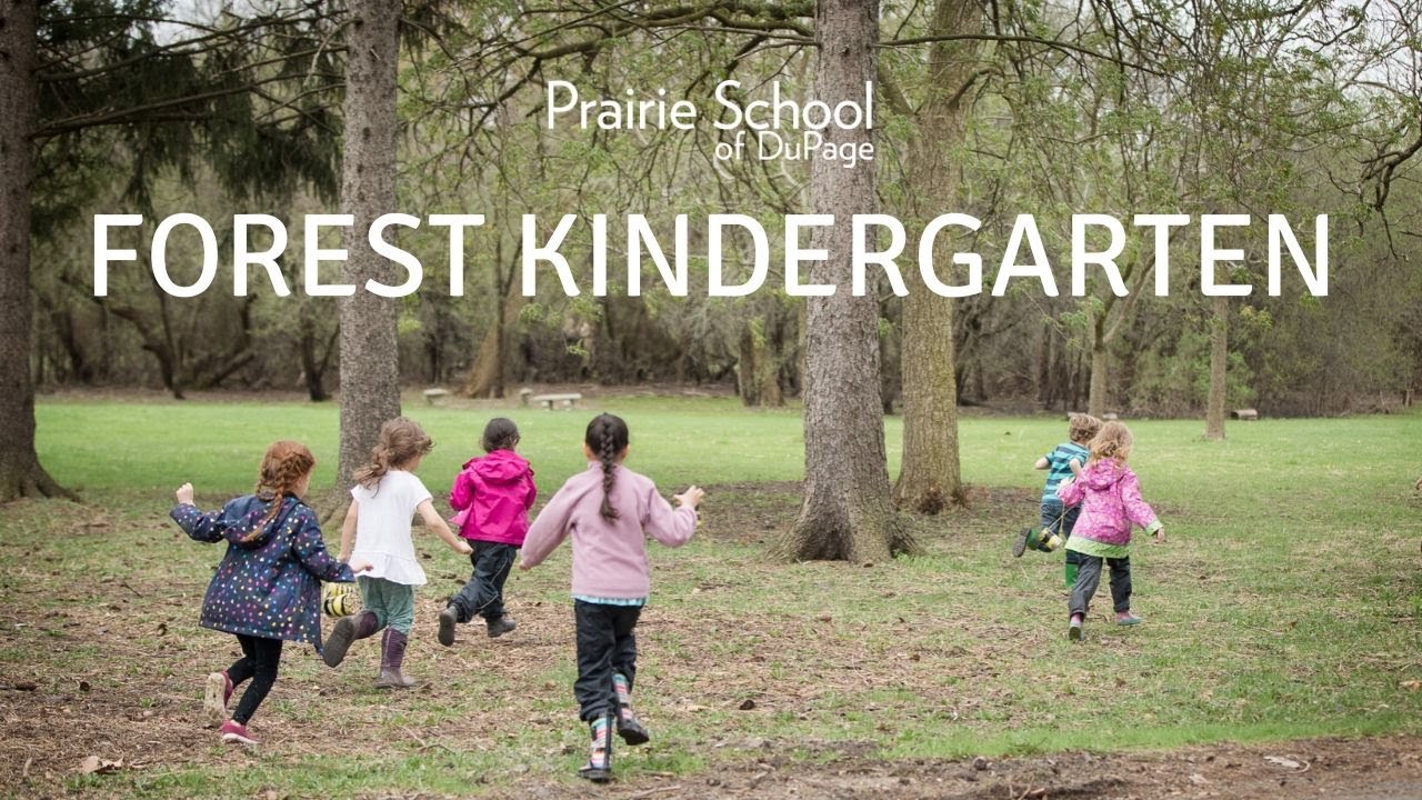 Forest Kindergarten at Prairie School of DuPage
