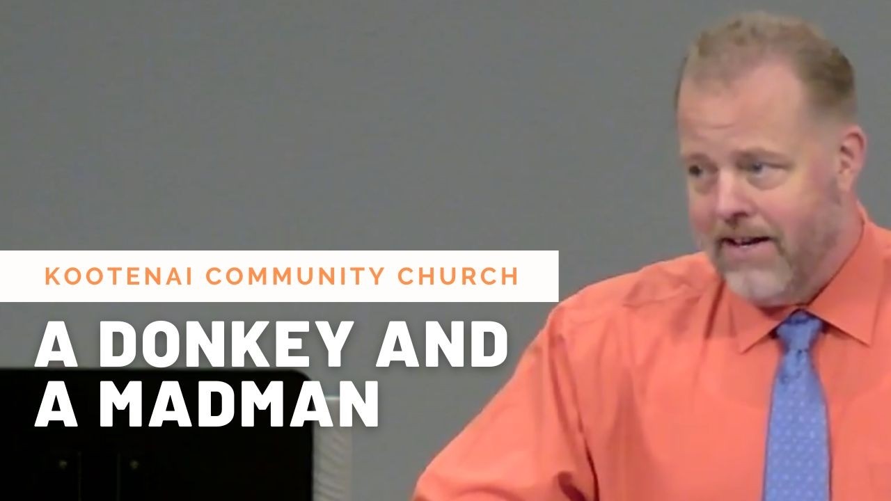 A Donkey and a Madman (2 Peter 2:15-16)