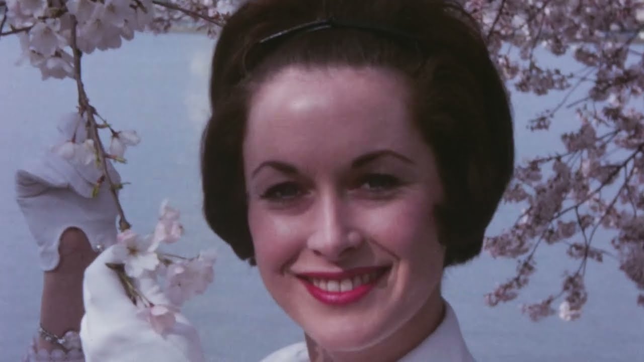 Washington DC Cherry Blossom Lighting 1966