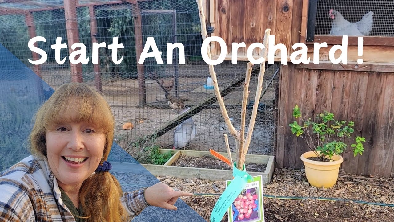 Bare Root Fruit Trees! Buying, Planting, & Pruning Tips! Plus, Lovely WATER Features!