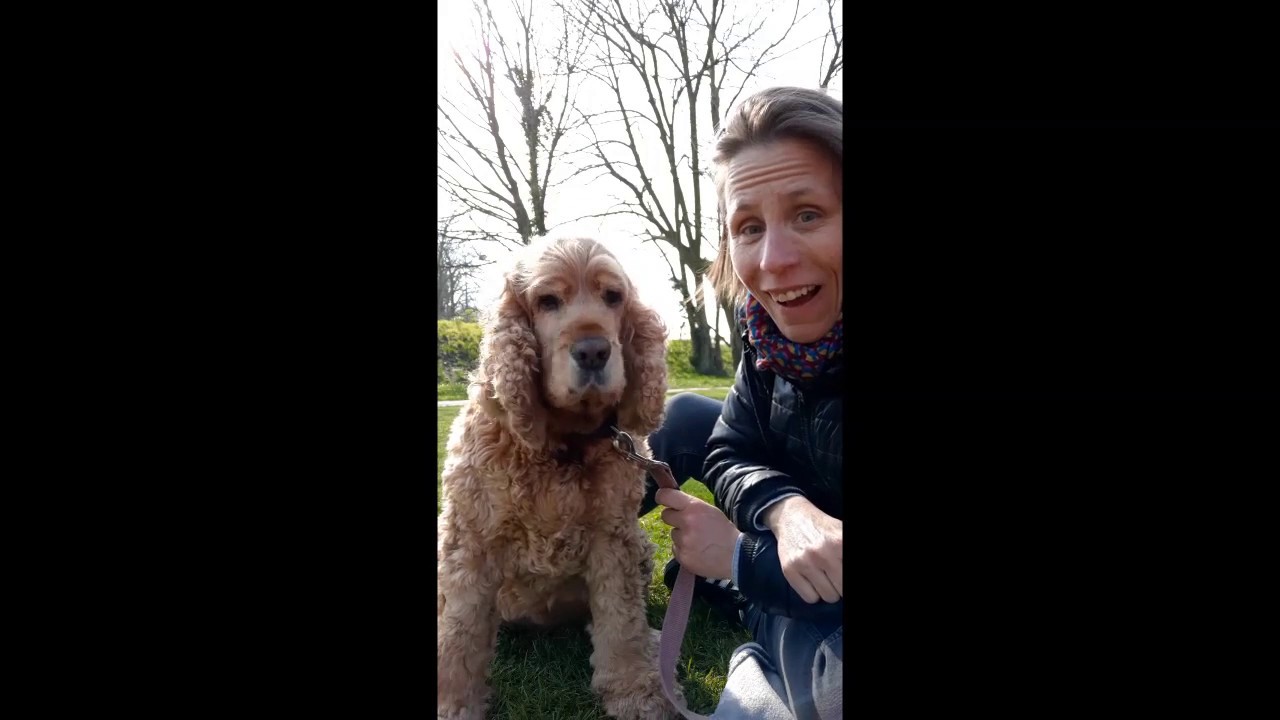 KOCA Luna, de hond van Juf Nadia