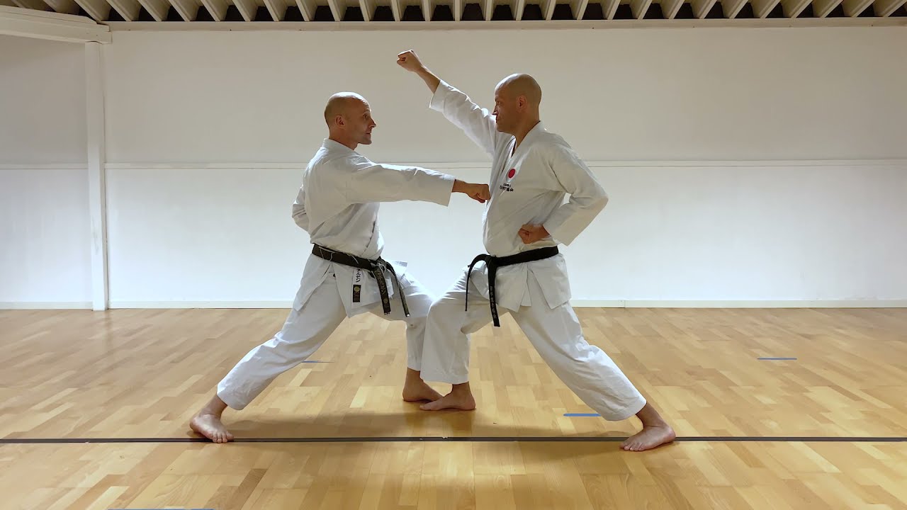 Kihon ippon kumite til 5. kyu