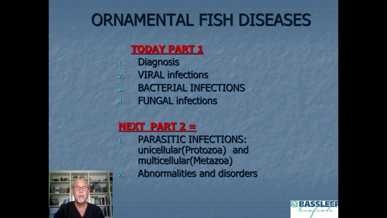 Fish disease diagnosis: part 1