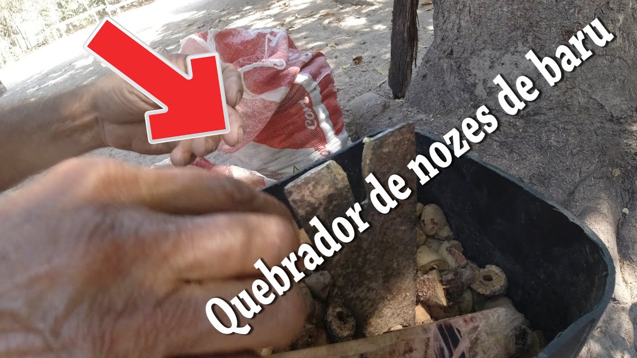 Cortador de baru  para retirar a castanha
