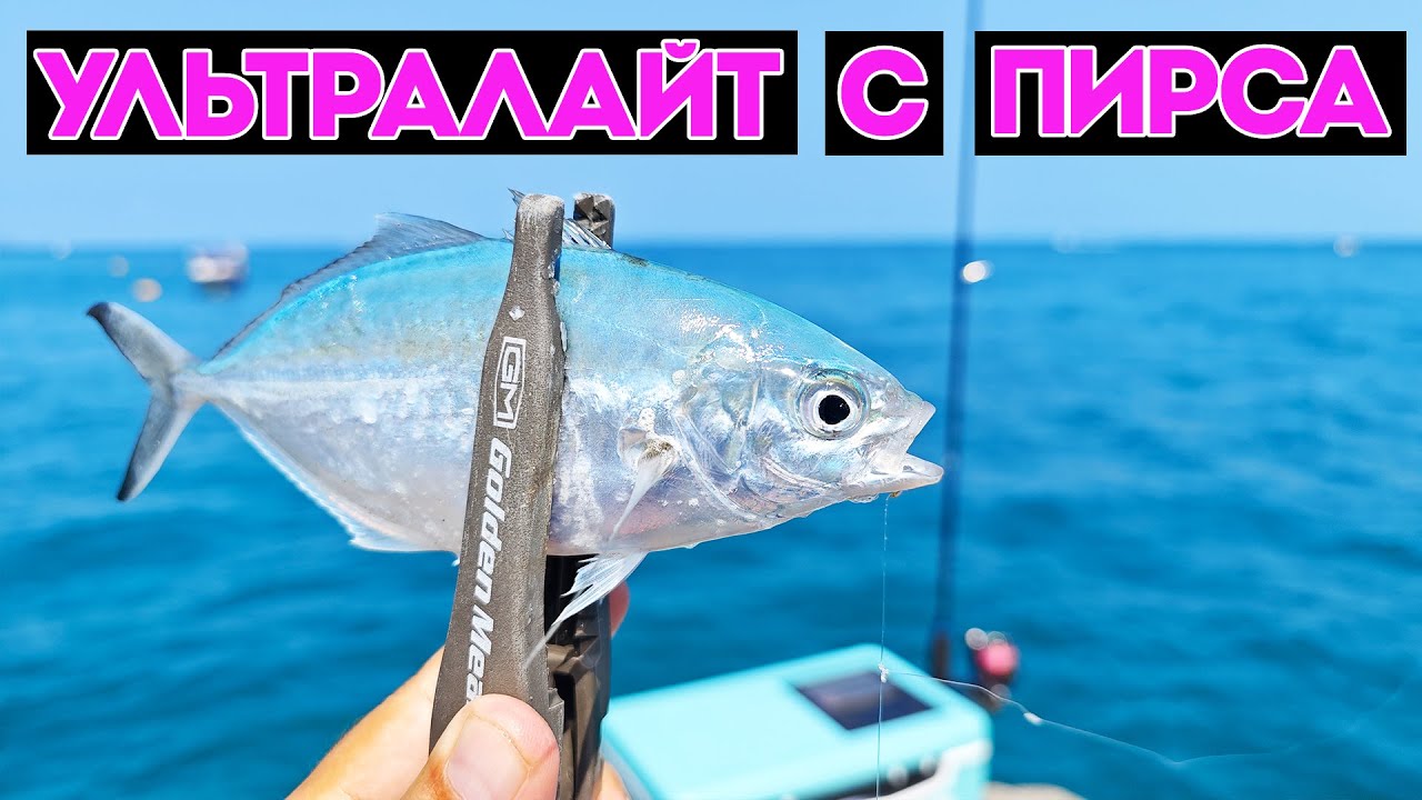 СПИННИНГ В ДУГУ ОТ ЭТИХ ПОКЛЕВОК. МОРСКАЯ РЫБАЛКА НА СИЛИКОНОВЫЕ ПРИМАНКИ С ПИРСА