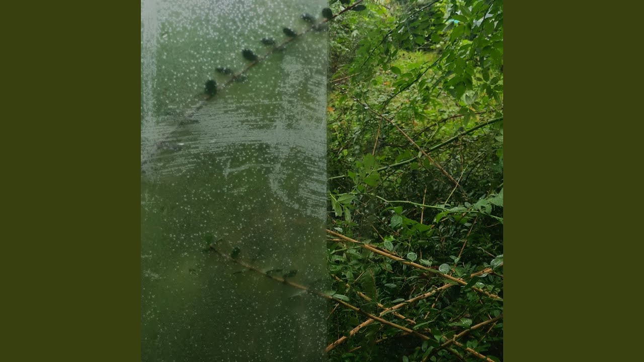 building bridges