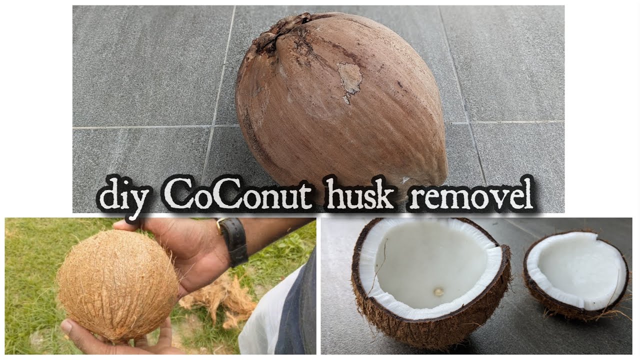 DIY COCONUT HUSK REMOVAL @rrchannel6665