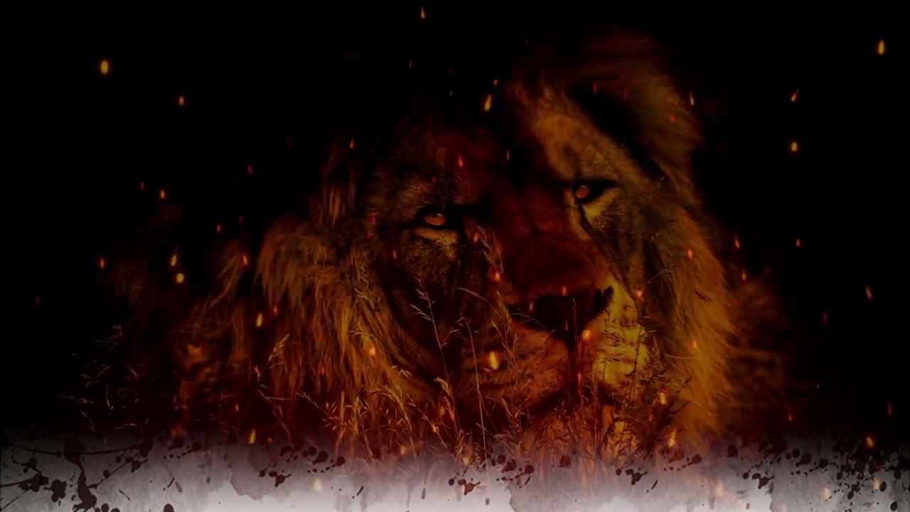 FUNDO ANIMADO LEÃO , BACKGROUND LEÃO - #background  #backgroundvideo  #loop #leaodatribodejuda