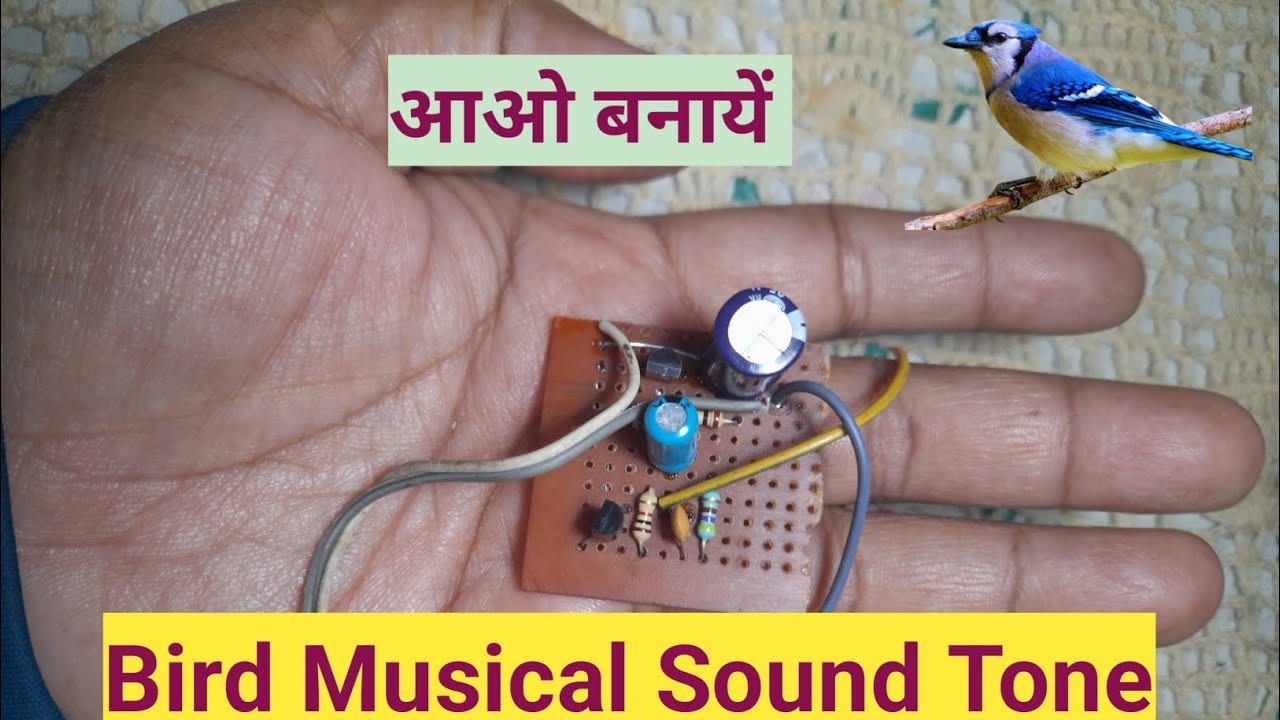 Bird Musical Sound Tone | Bird Bell | Melodious Bird Sound | Bird tone without I.C