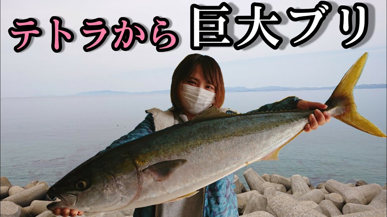 【死闘】堤防に巨大ブリ出現で一同騒然