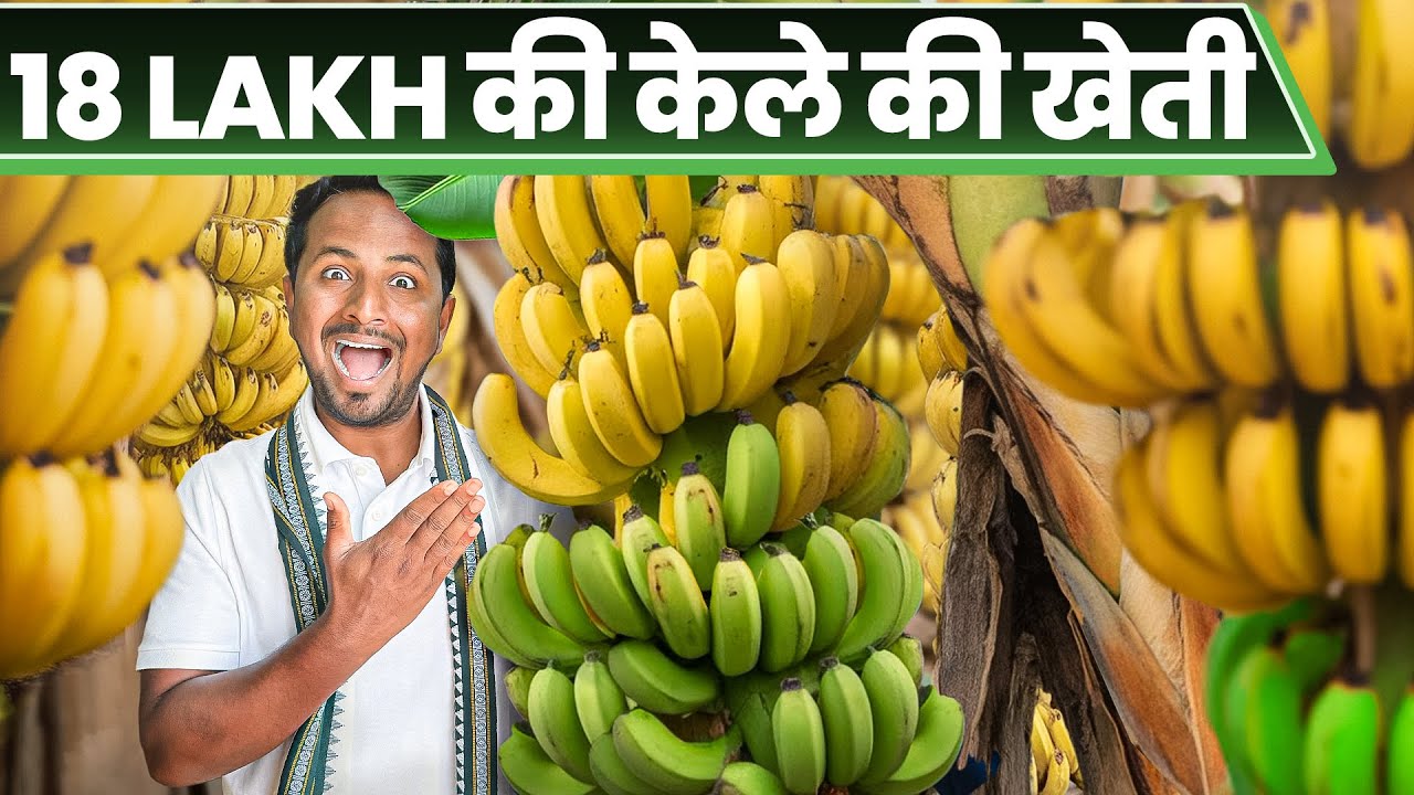 हमेशा PROFIT देने वाली खेती🍌💰Banana Farming | 18 महीने, 18 लाख 🚀 Indian Farmer