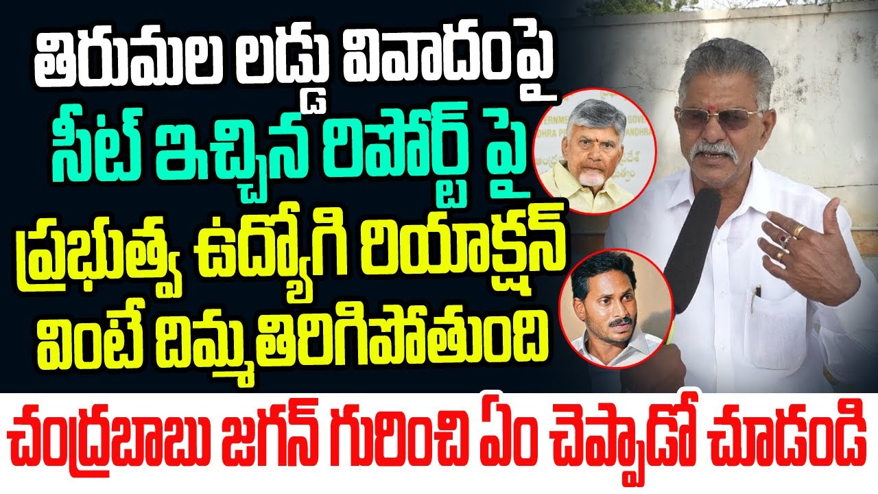 తిరుమల కల్తీ లడ్డు వివాదంపై సీట్ ఇచ్చిన రిపోర్ట్ పై ప్రభుత్వ ఉద్యోగి రియాక్షన్ చూడండి I Tirumala