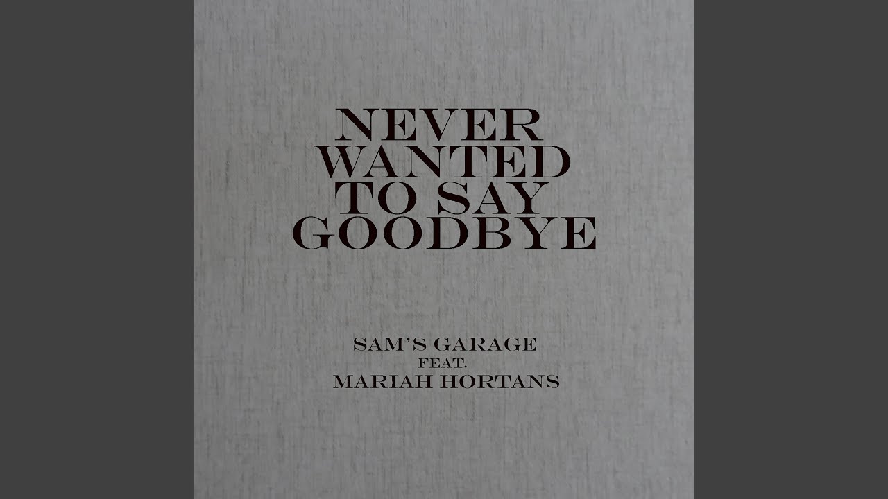 Never Wanted To Say Goodbye (feat. Mariah Hortans)