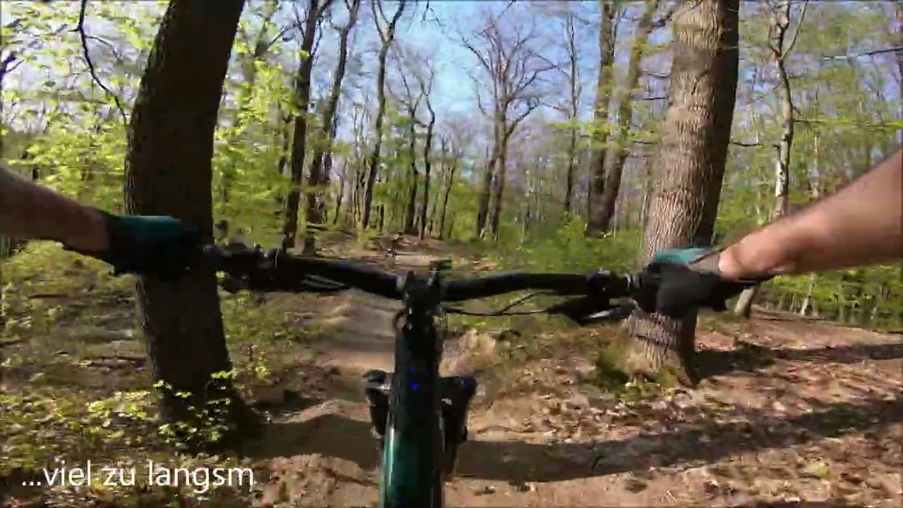 Wurzeltrail 2.0