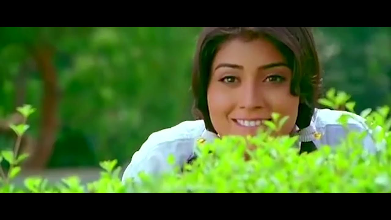 Chatrapathi Movie Interesting Action Scenes | Maa Cinemalu
