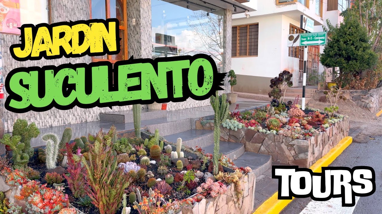 El Secreto para Tener jardines suculentos Vibrantes y Resistentes en la Intemperie