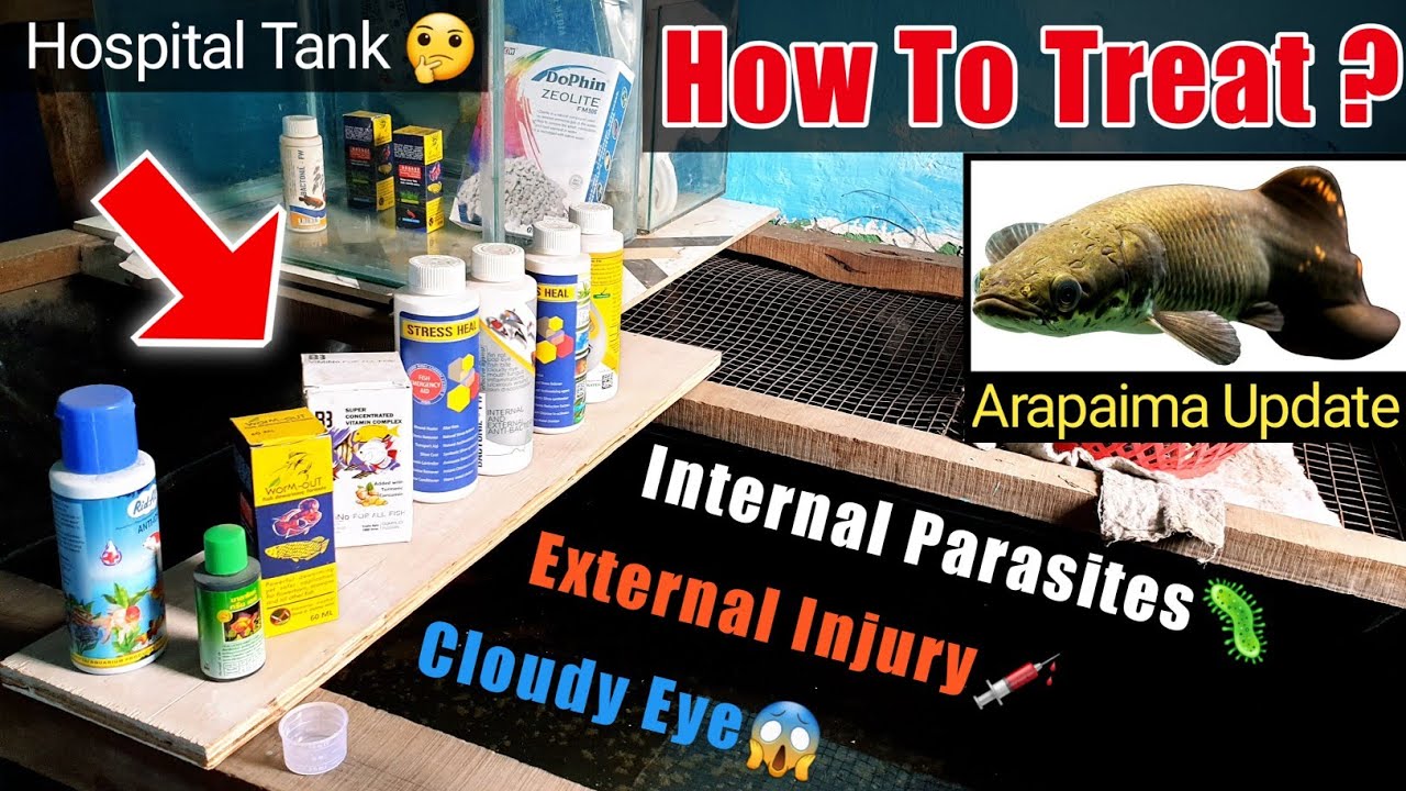 *New* Fish Medicine Deworming Worm out, Cloudy Eye, Internal Parasites| Hospital Tank | Monster Fish