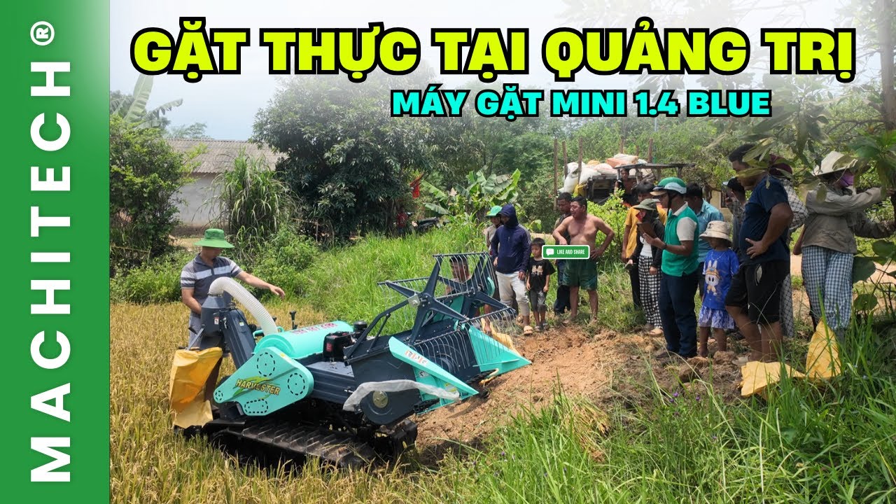 Máy gặt lúa mini 1.4 Blue gặt thực tế tại Gio Linh - Quảng Trị