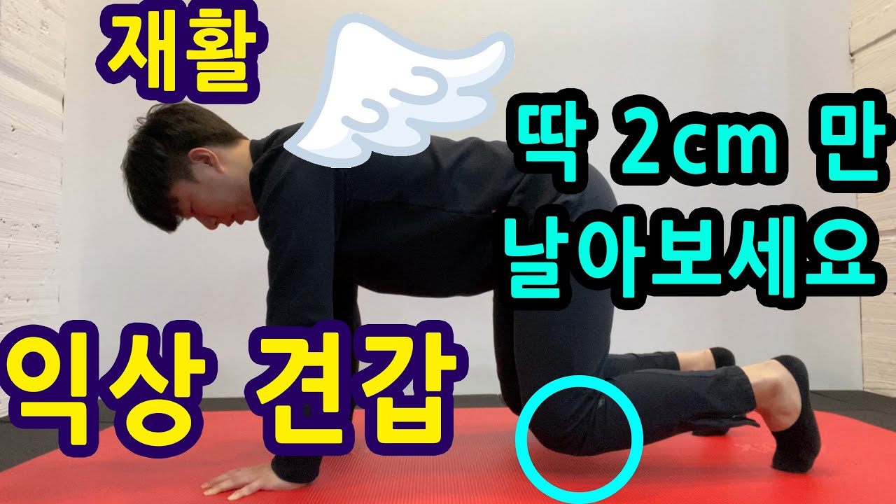 익상견갑 교정 운동,  전거근 확실하게 강화시키는 방법 ! / 어깨충돌증후군, 전거근 강화운동