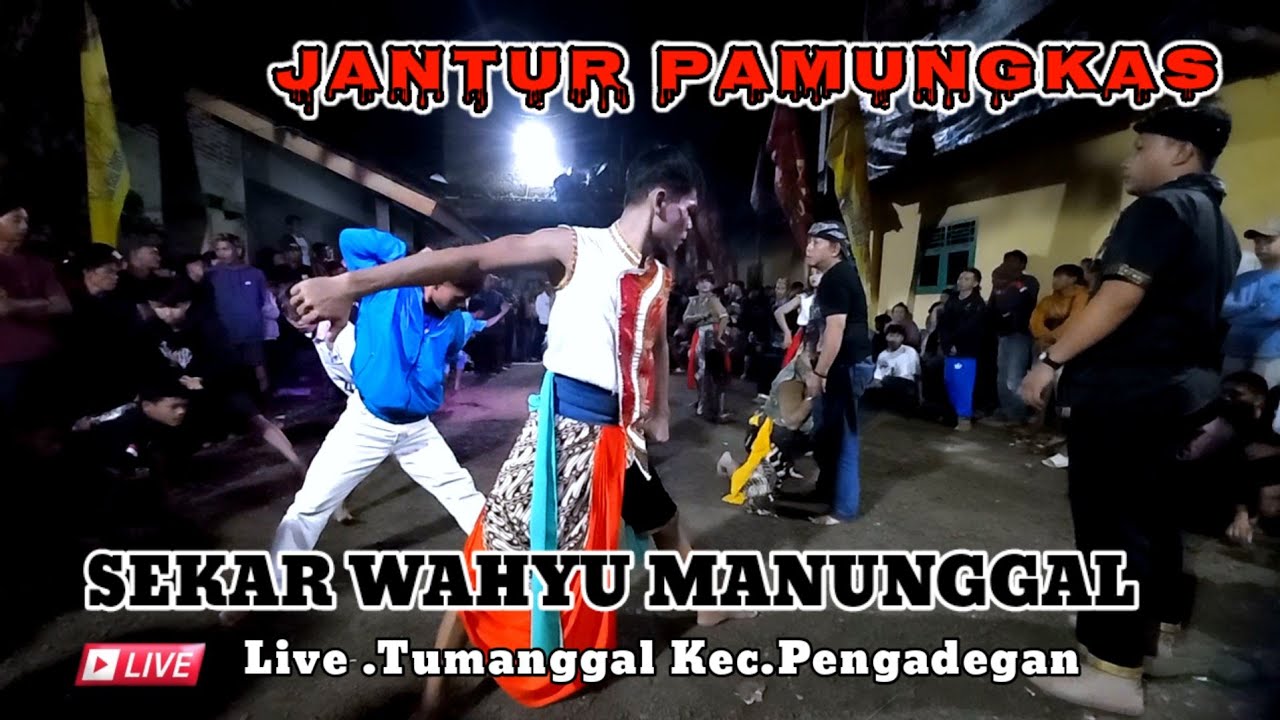 JANTUR PAMUNGKAS ‼️SENI EBEG BANYUMASAN ‼️SEKAR WAHYU MANUNGGAL