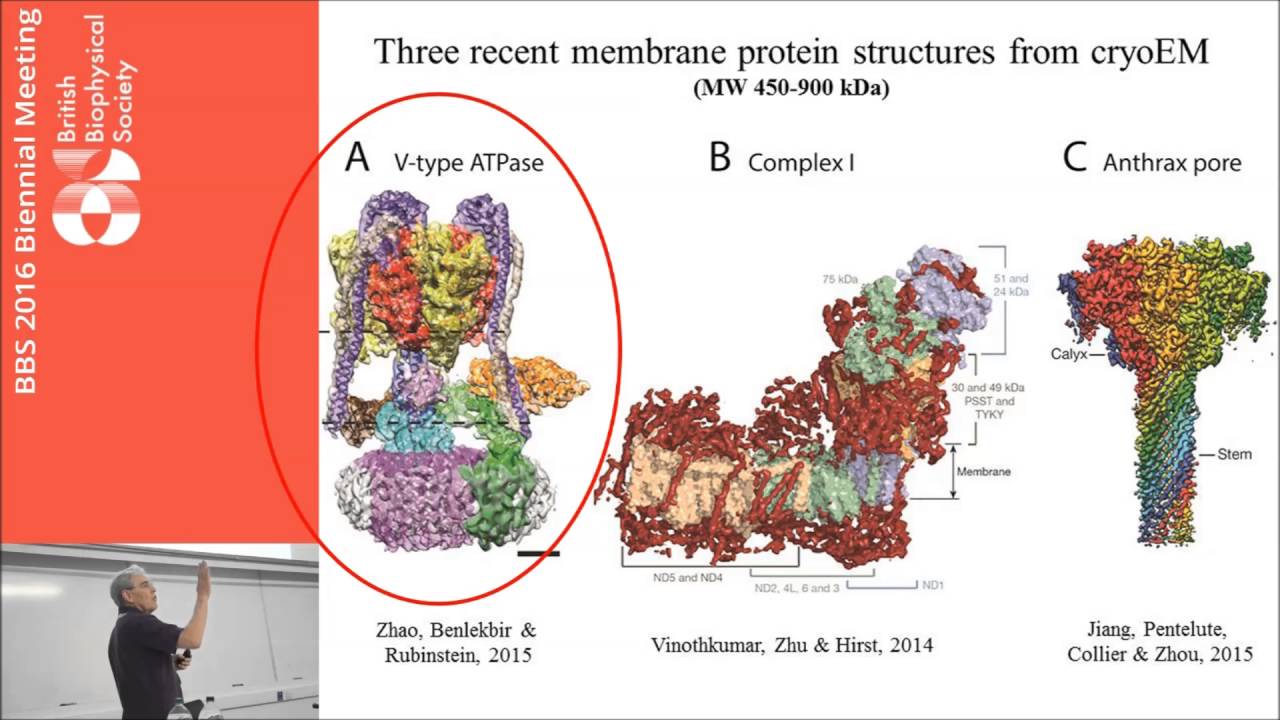 Potential for further improvements in single-particle electron cryomicroscopy