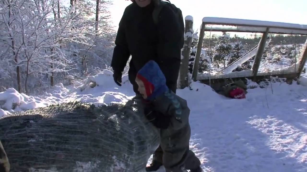 Kom til Jul på Ryegaard