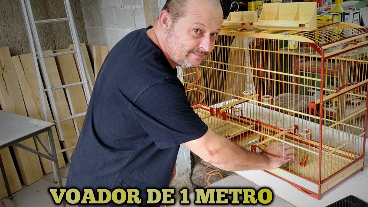 Voador de 1 metro de Pau brasil com Piquiá e gaiola passeio de Coqueiro