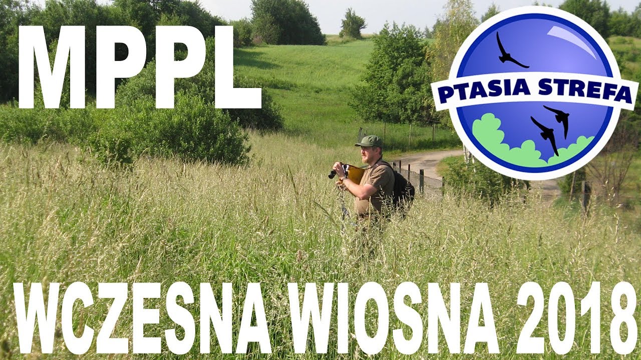 MPPL - wczesna wiosna 2018