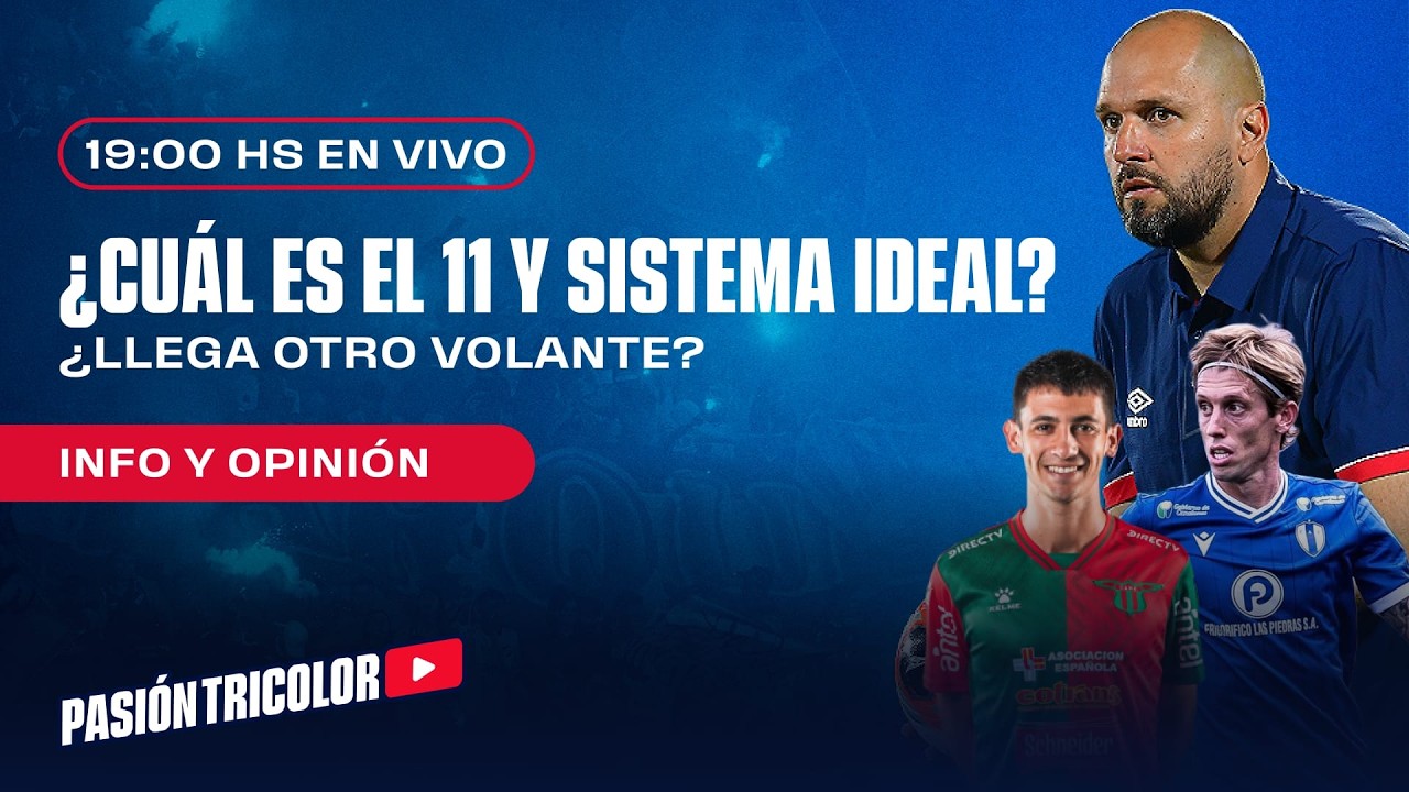 ¿Cuál es el 11 y sistema ideal?